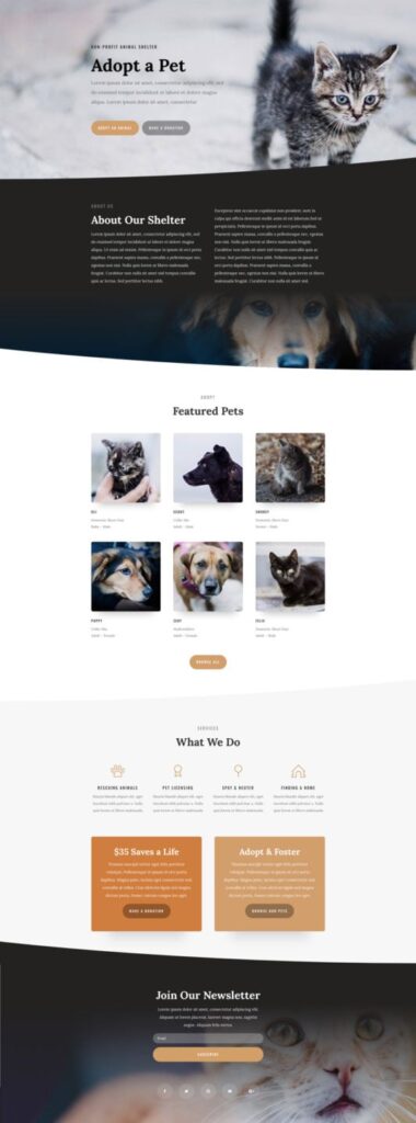 Example de page d'accueil pour le site web d'un refuge animal