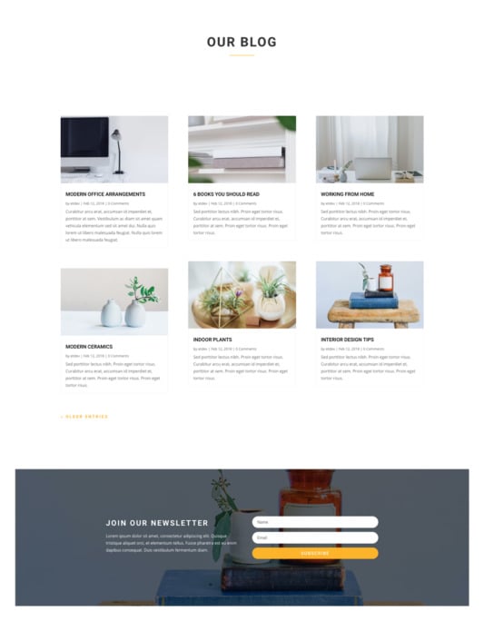 Example de page blog pour le site web d'une boutique
